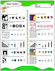 Zeka Gelişim Testleri